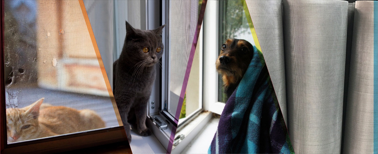 Kediler Için Pencere Teli